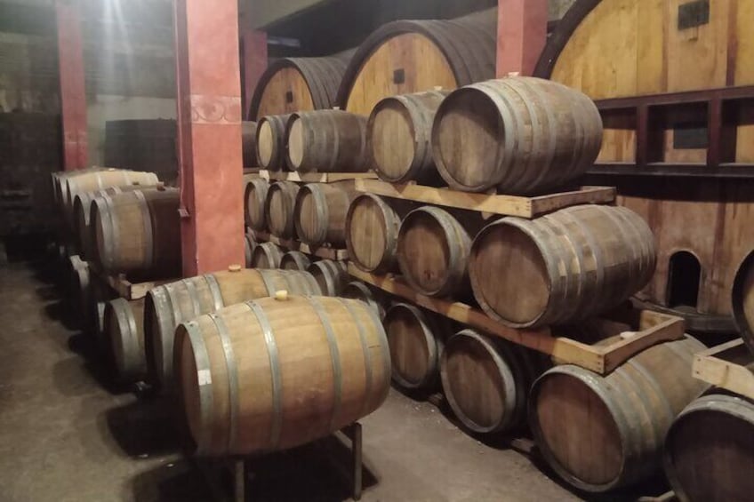 Sabores de Mendoza