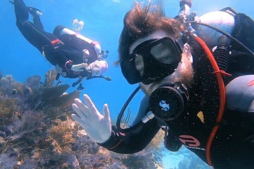 Half-Day Small-Group 2-Tank Scuba Dive in Key Largo