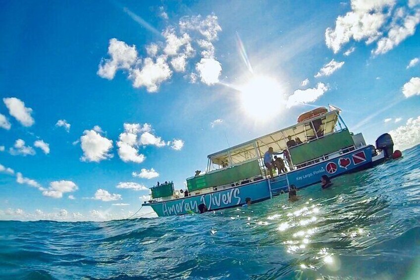 Half-Day Small-Group 2-Tank Scuba Dive in Key Largo (CERTIFIED DIVERS ONLY)