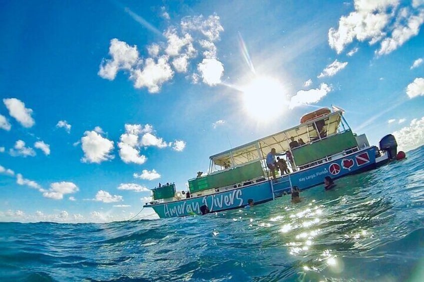 Half-Day Small-Group 2-Tank Scuba Dive in Key Largo (CERTIFIED DIVERS ONLY)