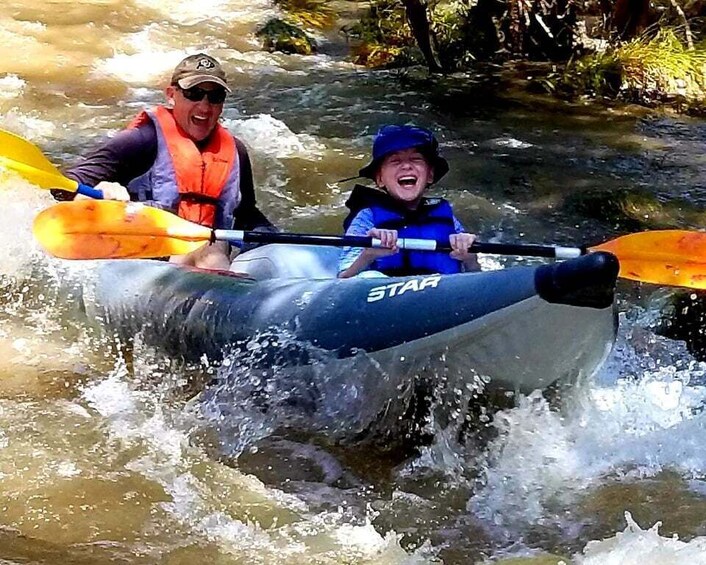 From Cottonwood: Guided Kayaking Tour on the Verde River