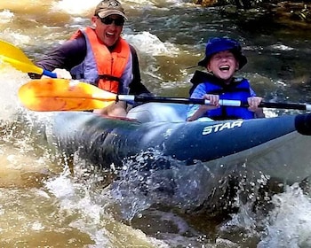 Desde Cottonwood: recorrido guiado en kayak por el río Verde