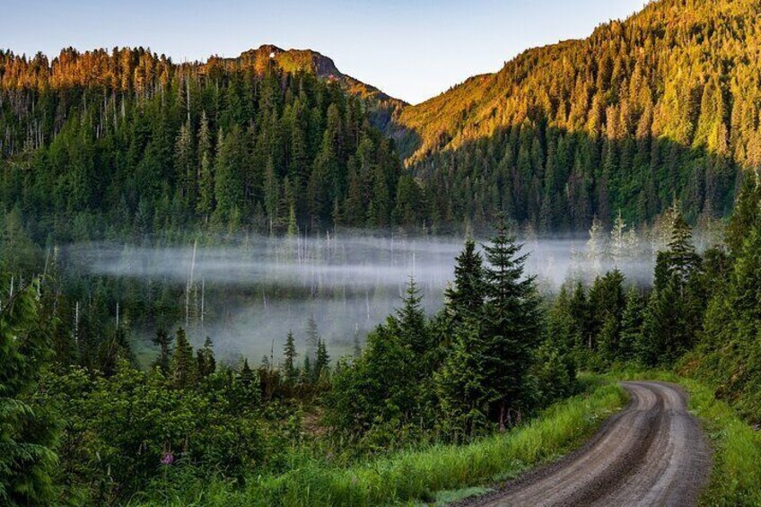 The backcountry of Tongass National Forest