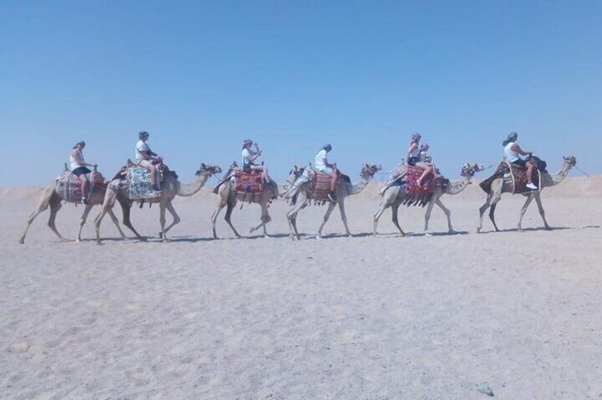 One Hour Horse Riding or Camel Riding At Amazing Desert in Hurghada 