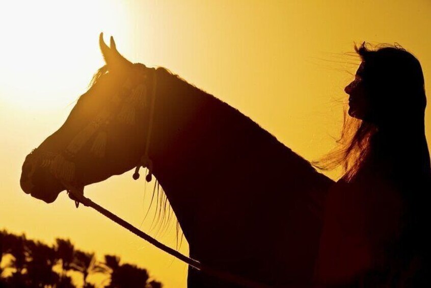 One Hour Horse Riding or Camel Riding At Amazing Desert in Hurghada