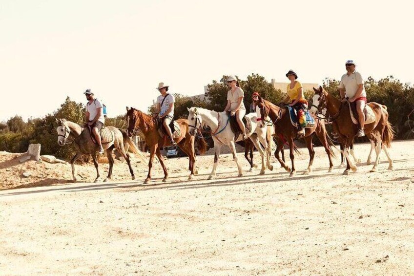 One Hour Horse Riding or Camel Riding At Amazing Desert in Hurghada