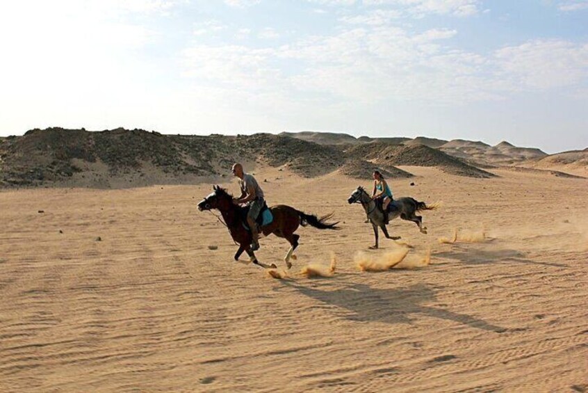One Hour Horse Riding or Camel Riding At Amazing Desert in Hurghada