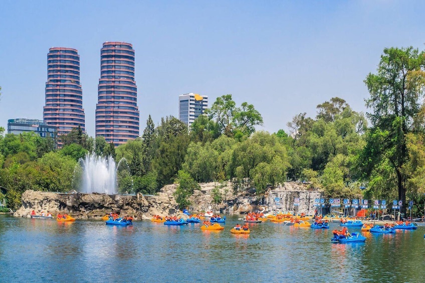 Chapultepec by Bike with a professional guide