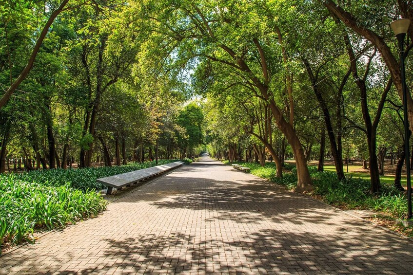 Chapultepec by Bike with a professional guide