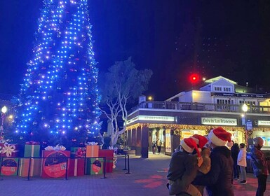 San Francisco: San Francisco: Holiday Lights Yksityinen ryhmä Jeep Tour