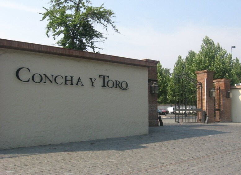 Picture 5 for Activity Santiago: Concha y Toro and Undurraga Vineyards Tour