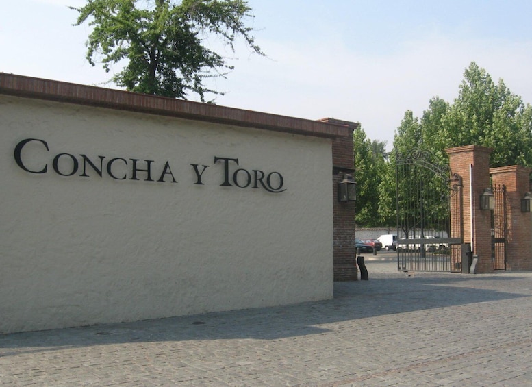 Picture 5 for Activity Santiago: Concha y Toro and Undurraga Vineyards Tour