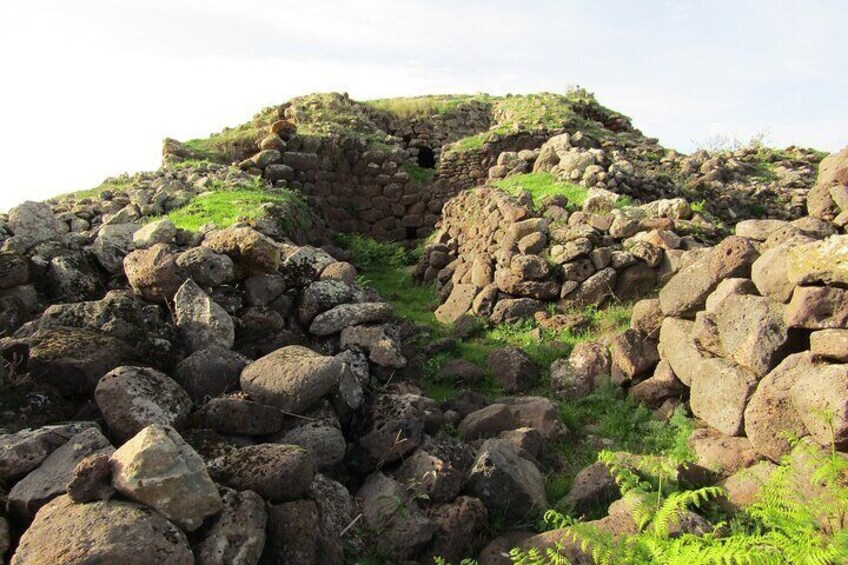 Private Guided Tour to Borore in the Bronze Age