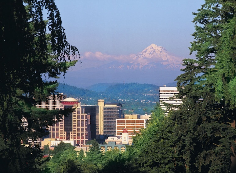 Pink Trolley - Hop-On Hop-Off Tour of Portland with Gray Line - 2 Day Pass