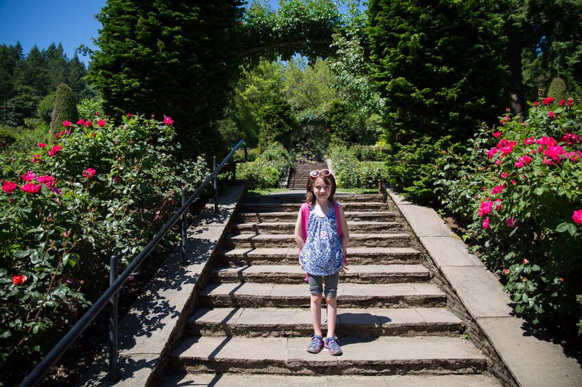 Pink Trolley - Hop-On Hop-Off Tour of Portland with Gray Line - 2 Day Pass