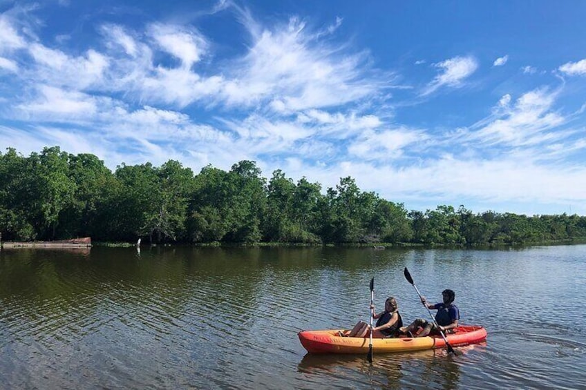 Paddle in and a long numerous bayous on this easy self guided kayak rental in Bayou Bienvenue