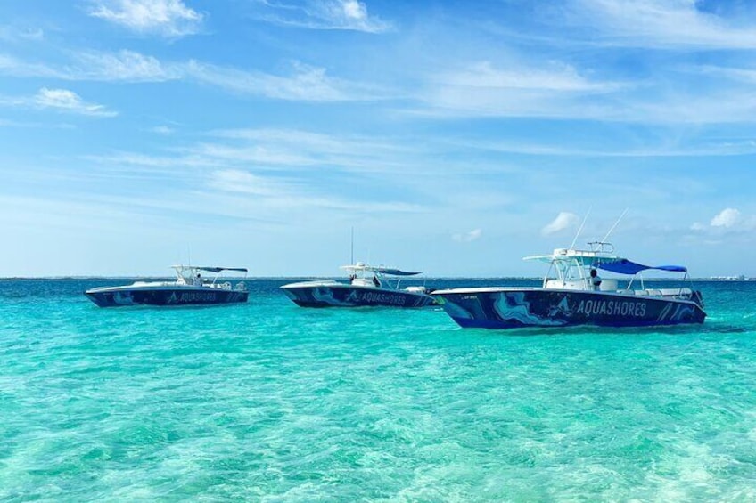 Rose Island Swimming Pigs, Snorkeling, Sea Turtles, Lunch at Beach Bar and Grill