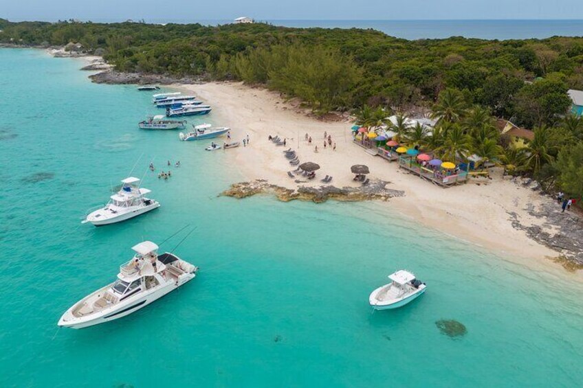 Bahamas Adventure: Pigs, Reef, Turtles, and Beach with Lunch