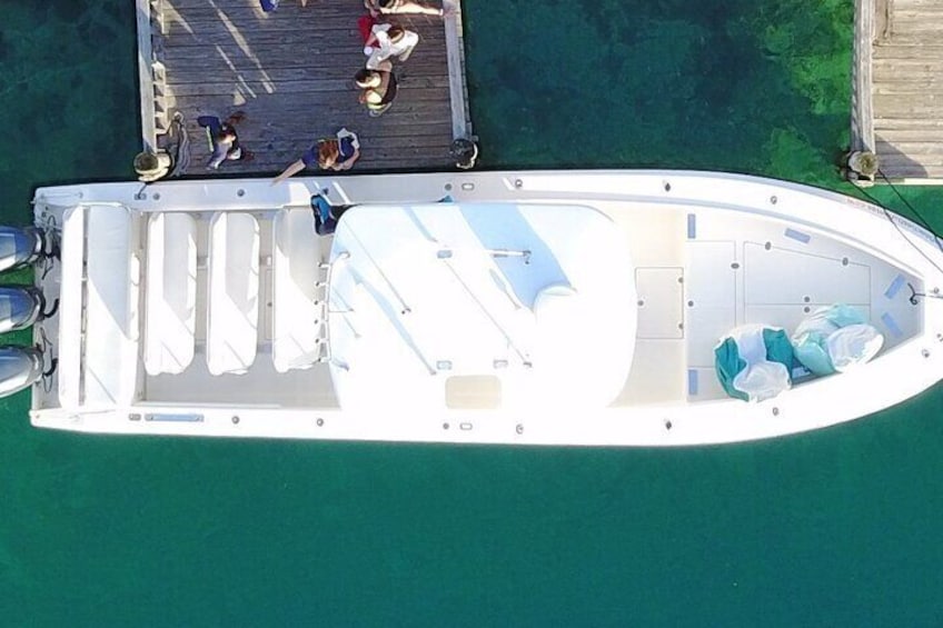 Rose Island, Snorkeling, See the Turtles and Lunch at Beach Bar and Grill