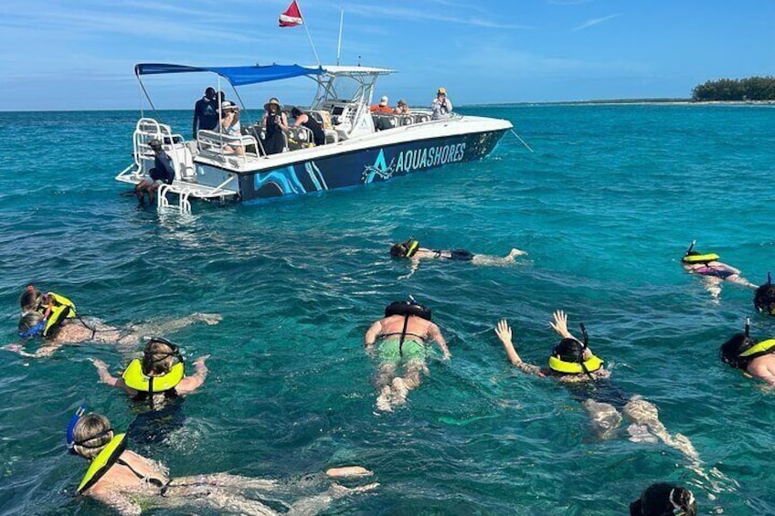 Rose Island Swimming Pigs, Snorkeling, Sea Turtles, Lunch at Beach Bar and Grill