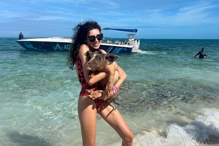 Rose Island Swimming Pigs, Snorkeling, Sea Turtles, Lunch at Beach Bar and Grill