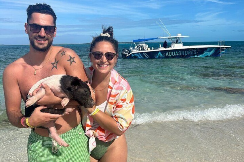 Rose Island Swimming Pigs, Snorkeling, Sea Turtles, Lunch at Beach Bar and Grill