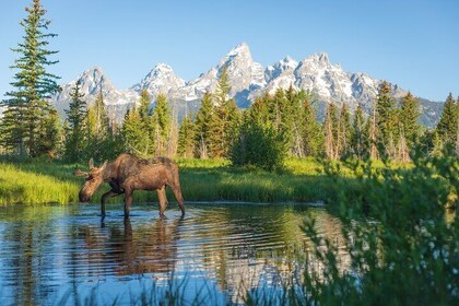 Private 8-Hour Grand Teton Adventure