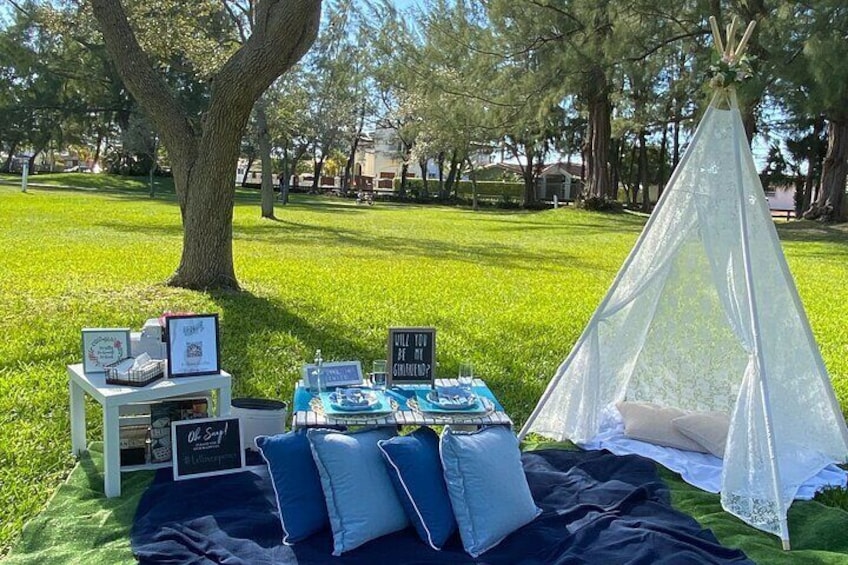 Luxury Picnic Experience in Amelia Earhart Park