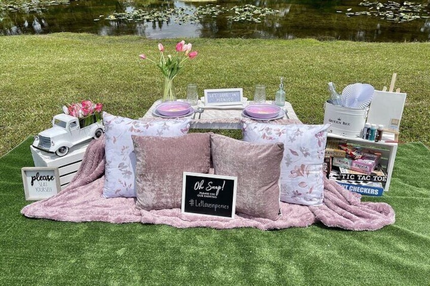 Luxury Picnic Experience in Amelia Earhart Park