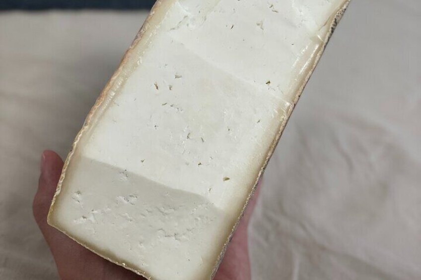 Canarian cheese tasting