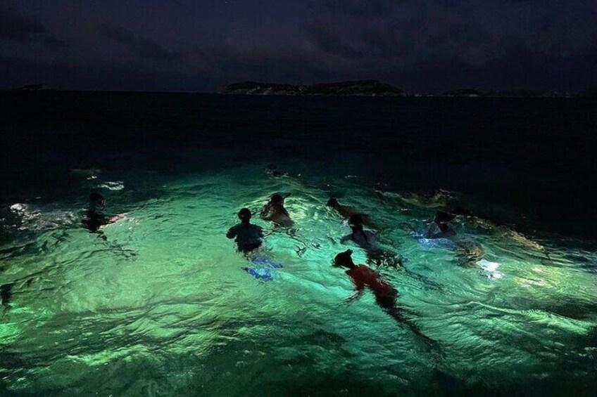 Night-Time Snorkel at Turtle Town Under the Stars with Lights