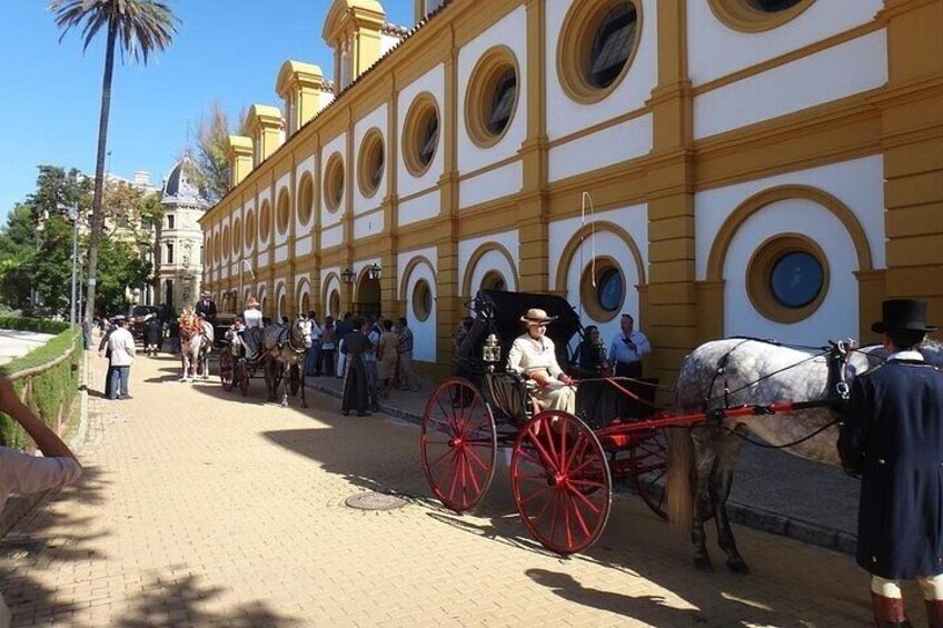 Jerez and Cadiz Day from Seville