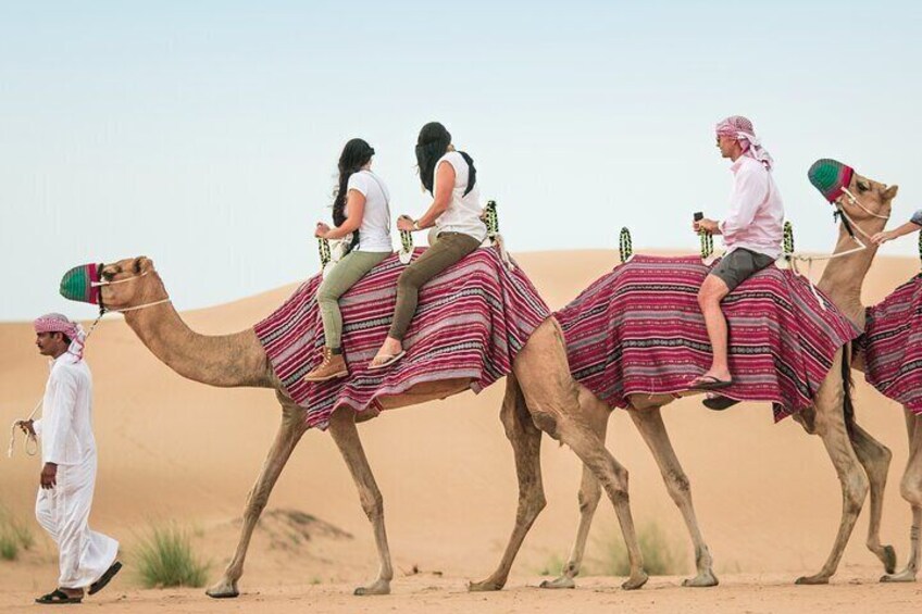 Camel Riding