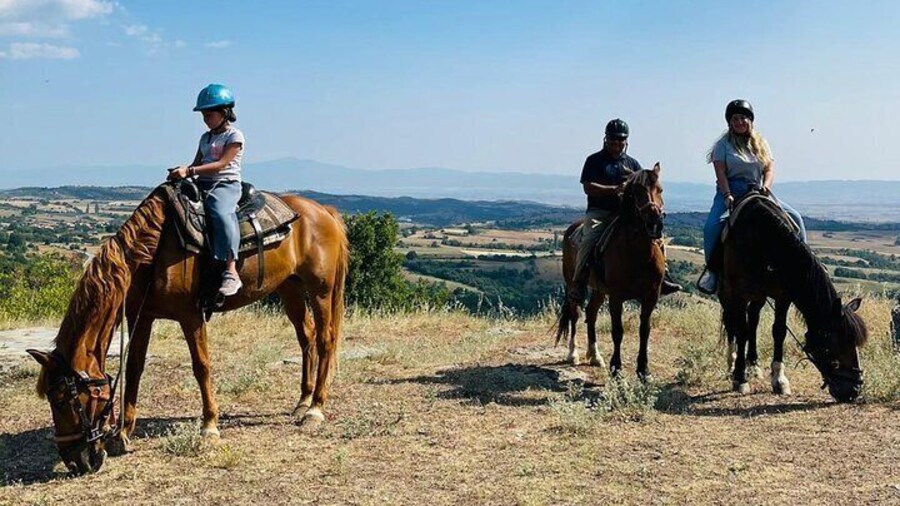 Visit a Farm and Horseback Riding in Nature