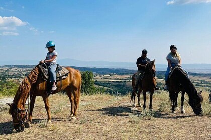 Visit a Farm and Horseback Riding in Nature