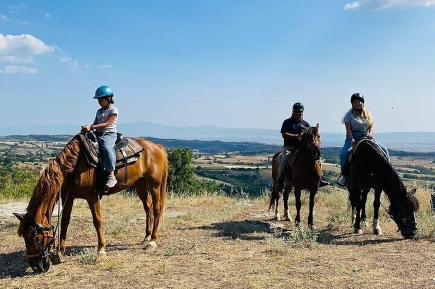 Visit a Farm and Horseback Riding in Nature 
