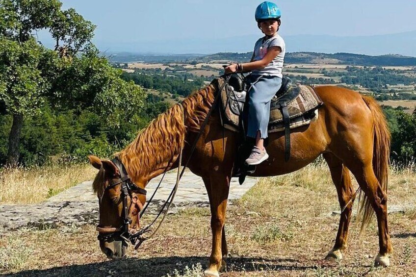 Visit a Farm and Horseback Riding in Lefkochori