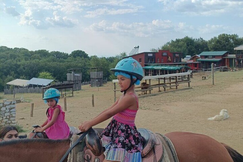 Visit a Farm and Horseback Riding in Nature 