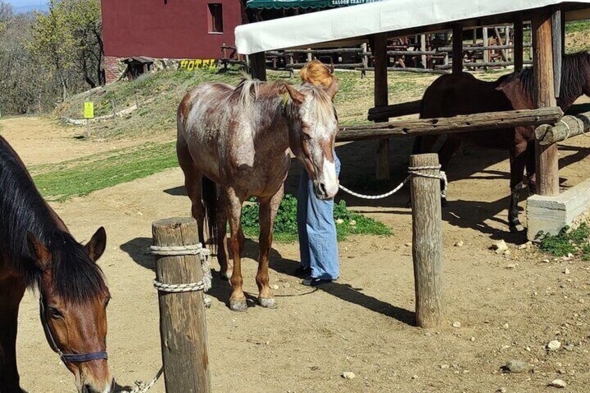 Visit a Farm and Horseback Riding in Nature 