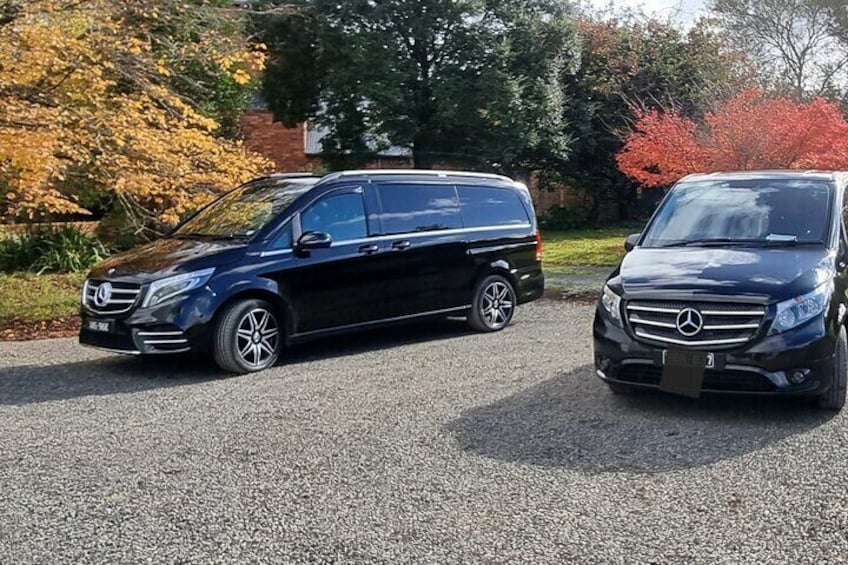 2 Day Private Luxury Great Ocean Road Tour