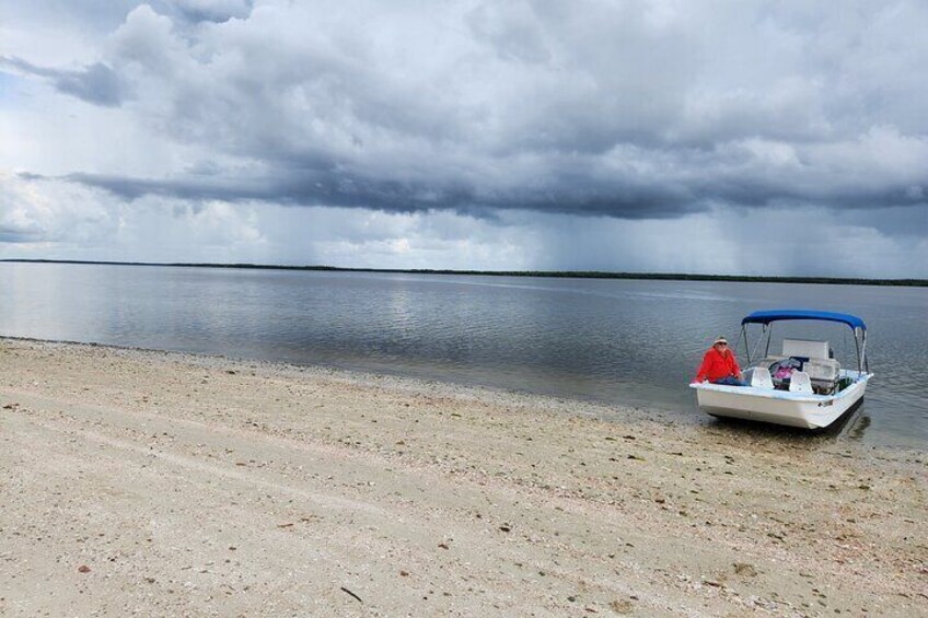 Boat Ride in 10,000 Islands and Nature Walk Tour in Florida