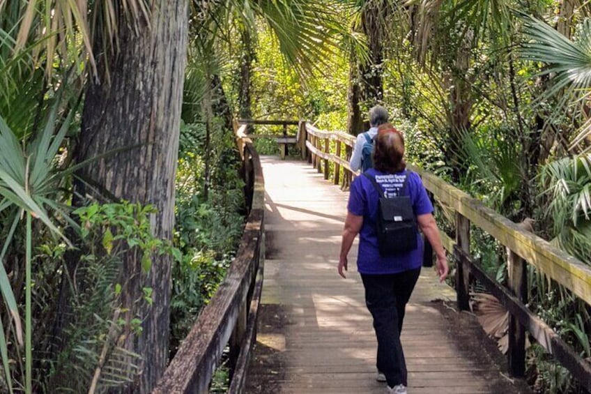 Boat Ride in 10,000 Islands and Nature Walk Tour in Florida