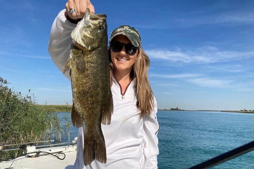 Summer smallmouth from Lake Saint Clair MI.