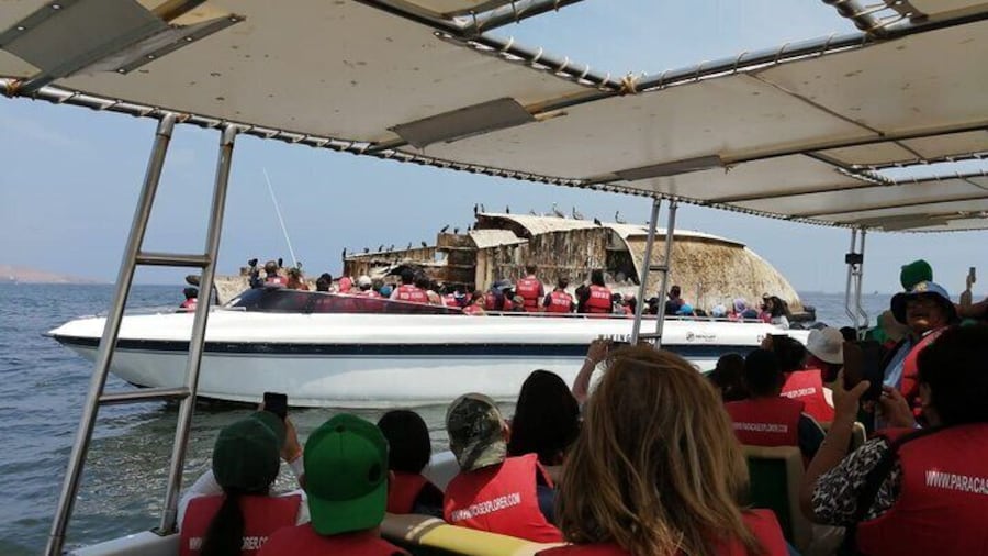 Paracas - Islas Ballestas y Huacachina w/sandboarding, dune buggy- FULL DAY