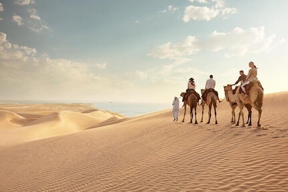 Doha Stopover Desert Safari, Camel Ride, Sand Boarding, Inland Sea