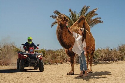 Camel Ride and extreme ATV combo tour in Cabo San Lucas