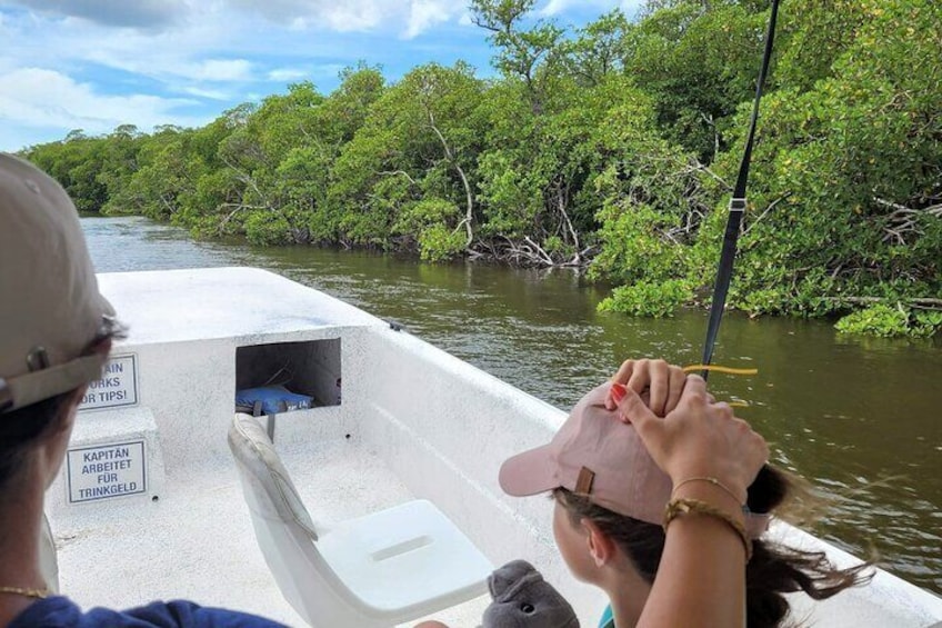 Everglades Nat'l Park Biologist Led Adventure Cruise/Airboat