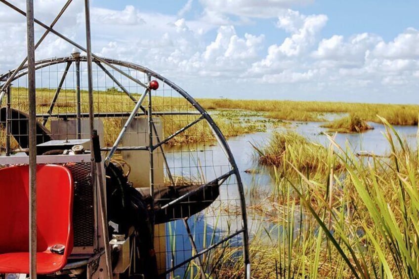 Everglades Nat'l Park Biologist Led Adventure Hike, Curise, Airboat + Lunch