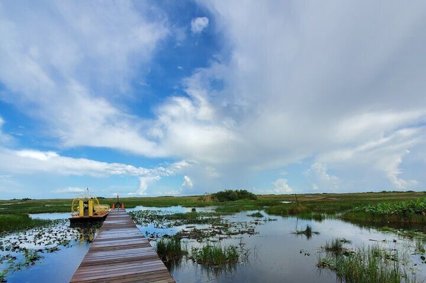 Everglades Nat'l Park Biologist Led Adventure Cruise/Airboat