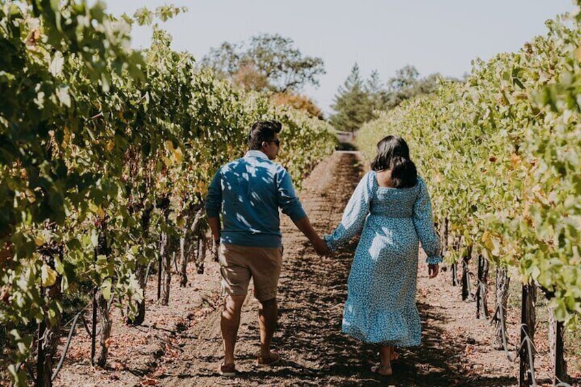 Private Professional Vacation Photoshoot in Sonoma